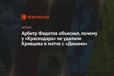 Арбитр Федотов объяснил, почему у «Краснодара» не удалили Кривцова в матче с «Динамо»