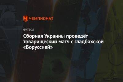 Сборная Украины проведёт товарищеский матч с гладбахской «Боруссией»