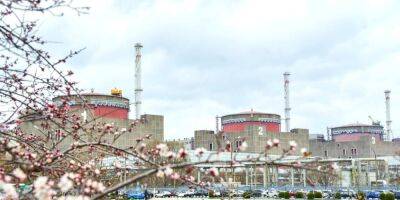 Росатом пытается взять под полный контроль Запорожскую АЭС — МАГАТЭ