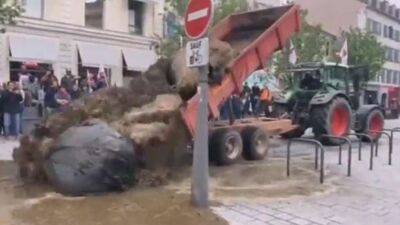 Французские фермеры в знак протеста вывалили навоз у правительственного здания (видео)