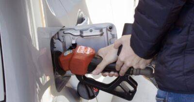 Бензин из Польши: польские компании могут выйти на рынок АЗС Украины