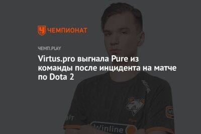 Virtus.pro выгнала Pure из команды после инцидента на матче по Dota 2