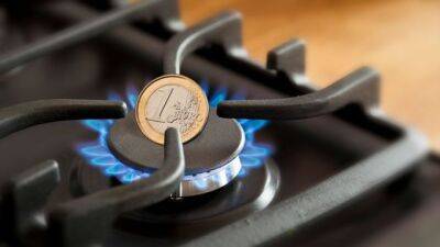 Германия подтвердила, что не будет платить за газ рублями