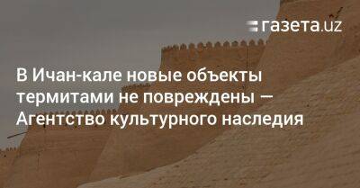 В Ичан-кале новые объекты термитами не повреждены — Агентство культурного наследия