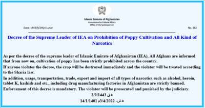 Правительство талибов запретило выращивание опиумного мака и производство наркотиков