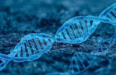 Ученые впервые собрали воедино весь геном человека (Фото)