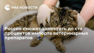 Российские производители смогут заместить до ста процентов импорта ветеринарных препаратов