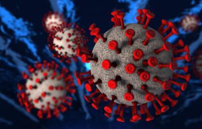 О шестой волне коронавируса в России предупредил вирусолог