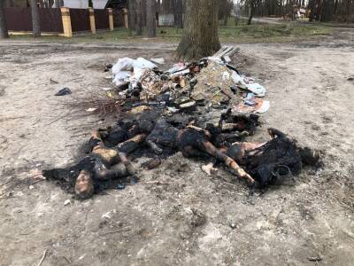 Оккупанты в Буче пытались сжечь тела убитых ими мирных людей