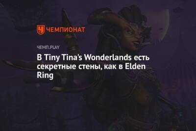 В Tiny Tina's Wonderlands есть секретные стены, как в Elden Ring