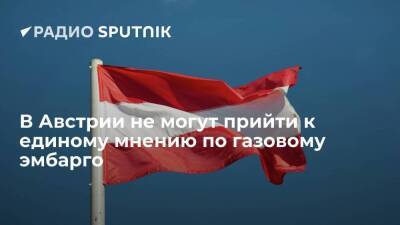 Министр энергетики Австрии Гевесслер заявила, что страна стремится к отказу от газа, а глава МИД Шалленберг выступил против эмбарго