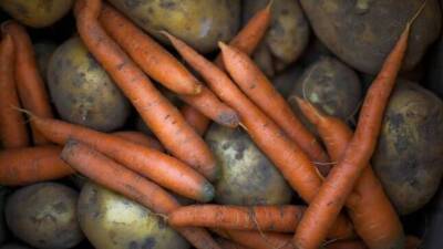 В Таджикистане немного снизились цены на масло, картофель и морковь