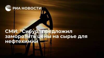 "Коммерсантъ": "Сибур" предложил правительству заморозить цены на сырье для нефтехимии