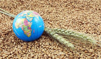 Минсельхоз Литвы: Украина просит помочь ей вывезти прошлогодний урожай зерновых
