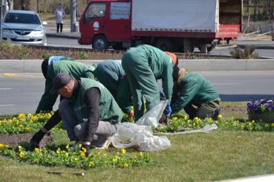 На площади Десятого апреля в Одессе высаживают весенние цветы | Новости Одессы