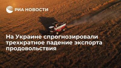 Минагрополитики Украины: экспорт продовольствия сократится минимум в три раза