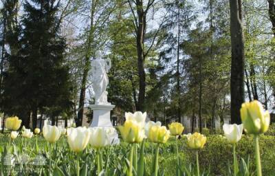 Сад Тверского императорского дворца откроют для прогулок с 8 апреля