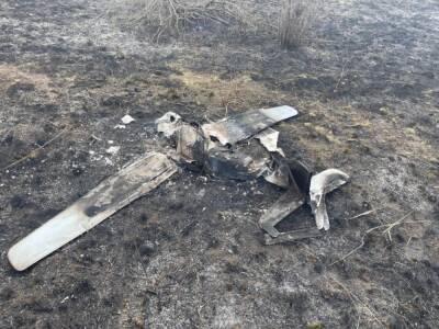 В Донецкой области сбили российский беспилотник