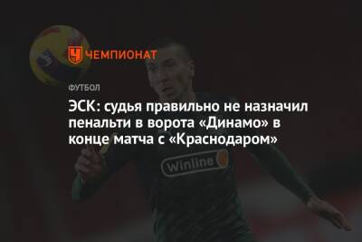 ЭСК: судья правильно не назначил пенальти в ворота «Динамо» в конце матча с «Краснодаром»
