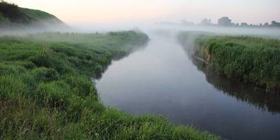 Загрязнена река. В Тернопольской области из-за обломков вражеской ракеты произошла утечка химикатов