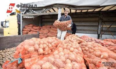 Экономист о сельском хозяйстве: «Россия может обеспечить цены ниже, чем на мировом рынке»