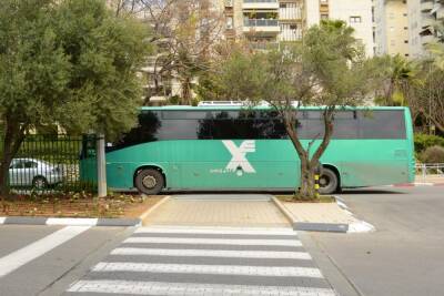 Автобусные компании попросили минтранс сократить число рейсов на праздники