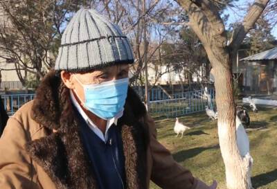 Проект "Ташкент бездомный". История вторая. Видео