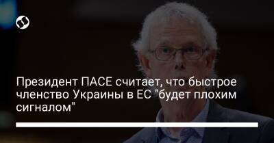 Тини Кокс - Президент ПАСЕ считает, что быстрое членство Украины в ЕС "будет плохим сигналом" - liga.net - Россия - Украина - Голландия