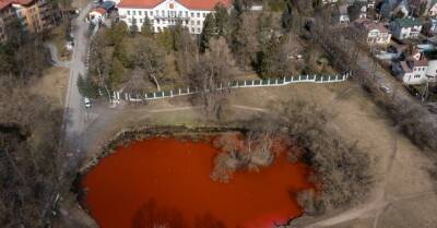 ФОТО: Вода в пруду около российского посольства в Литве окрасилась в кровавый цвет
