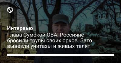 Интервью | Глава Сумской ОВА: Россияне бросили трупы своих орков. Зато вывезли унитазы и живых телят