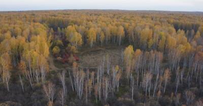 Окопы ВС РФ в "Рыжем лесу" возле ЧАЭС показали с высоты птичьего полета (видео)
