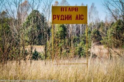 «Рыжий лес» в Чернобыле превратил российских оккупантов в «груз 200»