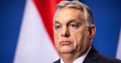Путин согласен встретиться с Зеленским в Будапеште, чтобы прекратить войну в Украине, – Орбан