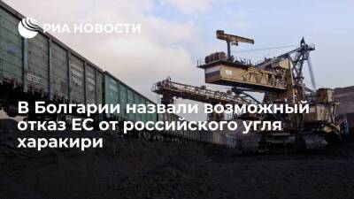 Журналист "Гласове" Рашев: Европа совершит харакири, отказавшись от российского угля