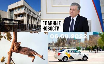 Фиктивное авто, живодеры из Кашкадарьи и каждому по пирамидке. Новости Узбекистана: главное на 6 апреля