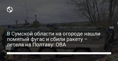В Сумской области на огороде нашли помятый фугас и сбили ракету – летела на Полтаву: ОВА