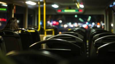 Общественный транспорт в Израиле станет бесплатным: кто откажется от своих машин?
