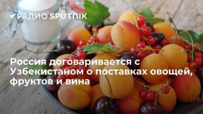 Подзаг: Российские рестораторы договариваются с узбекскими производителями о поставках овощей, фруктов и вина