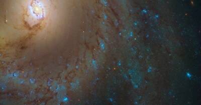 Внутреннее кольцо Млечного Пути: астрономы нашли ранее неизвестную область галактики