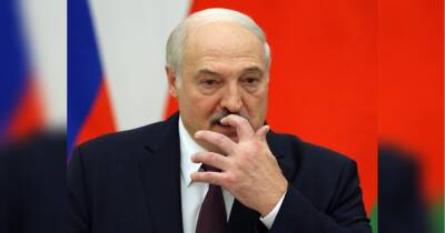 «Вони багатьом ризикують»: Лукашенко заявив про проведення своєї «спецоперації» в Україні