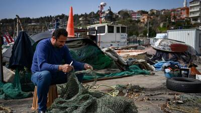 Украинские мины парализовали турецкий рыболовный промысел