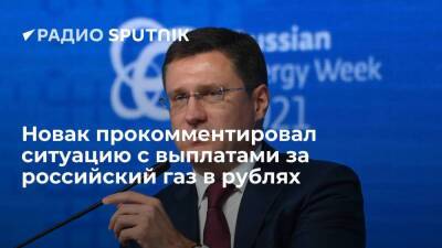 Вице-премьер Новак: страны будут платить за российский газ в рублях, некоторые уже начали