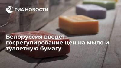 Белоруссия введет госрегулирование цен на мыло, зубную пасту и туалетную бумагу