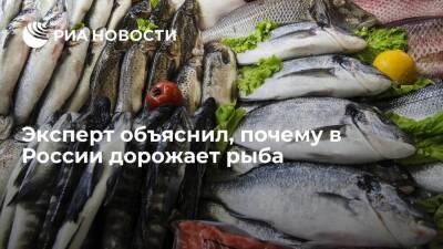 Александр Савельев - Эксперт Савельев объяснил рост цен на рыбу в России сокращением объемов ее экспорта - smartmoney.one - Россия