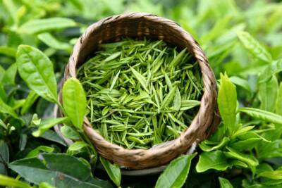 Китай стал крупнейшим поставщиком чая в Узбекистан за первые два месяца года