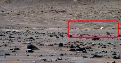 Perseverance нашел в марсианской пустыне свой парашют (фото)