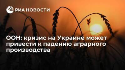 Глава ФАО ООН Дунъюй: кризис на Украине может привести к падению аграрного производства