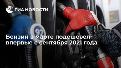 Бензин в России за март подешевел на 0,15% впервые с сентября 2021 года