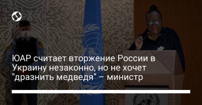 ЮАР считает вторжение России в Украину незаконно, но не хочет "дразнить медведя" – министр