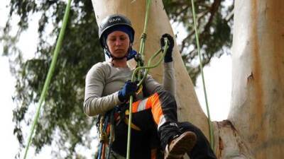 Единственная в Израиле женщина-специалист по обрезке деревьев рассказала о тонкостях профессии